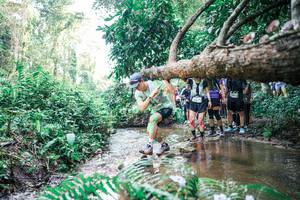 BIB: 
                            <button type="button" onclick="openModal(25472168)" class="btn btn-primary btn-sm float-right btn-popup" data-toggle="modal" data-target=".modal-high-quality">
                        <i class="fas fa-shopping-cart"></i> Add to Cart
                    </button>
                                            <button type="button" onclick="isThisMe(25472168, true)" class="btn btn-success btn-sm float-right btn-popup btn-isme hidden" data-toggle="tooltip" data-placement="bottom" title="นี่คือรูปของคุณใช่ไหม คลิกที่นี่เพื่อเอาเข้าอัลบั้ม">
                        <i class="fas fa-plus"></i> Add to album
                    </button>
                    <button type="button" onclick="isThisMe(25472168, false)" class="btn btn-warning btn-sm float-right btn-popup btn-isnotme hidden">
                        <i class="fas fa-ban"></i> Remove from album
                    </button>